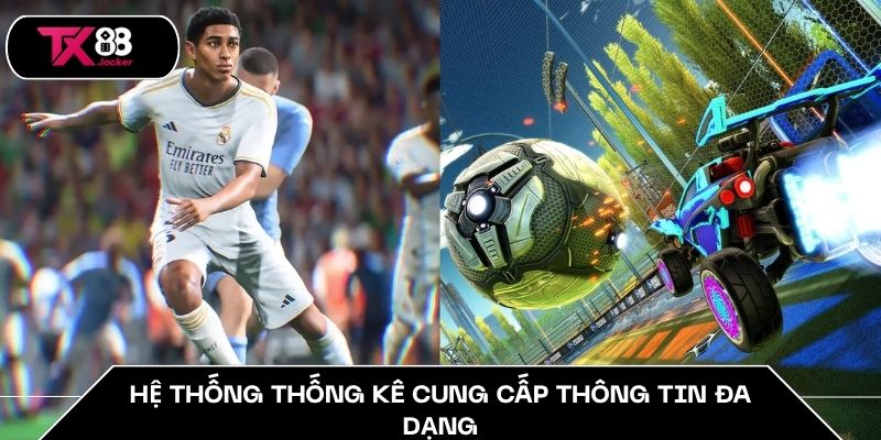Hệ thống thống kê cung cấp thông tin đa dạng