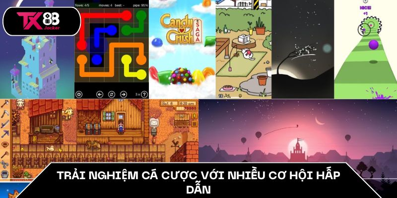 Trải nghiệm cá cược với nhiều cơ hội hấp dẫn