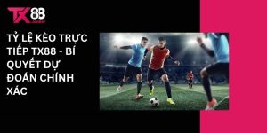 Tỷ lệ kèo cược tiếp Tx88 - Bí quyết dự đoán chính xác